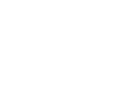 Arbnora Elezi - Webflare